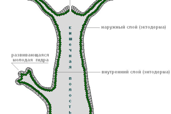 Kraken официальный сайт ссылка